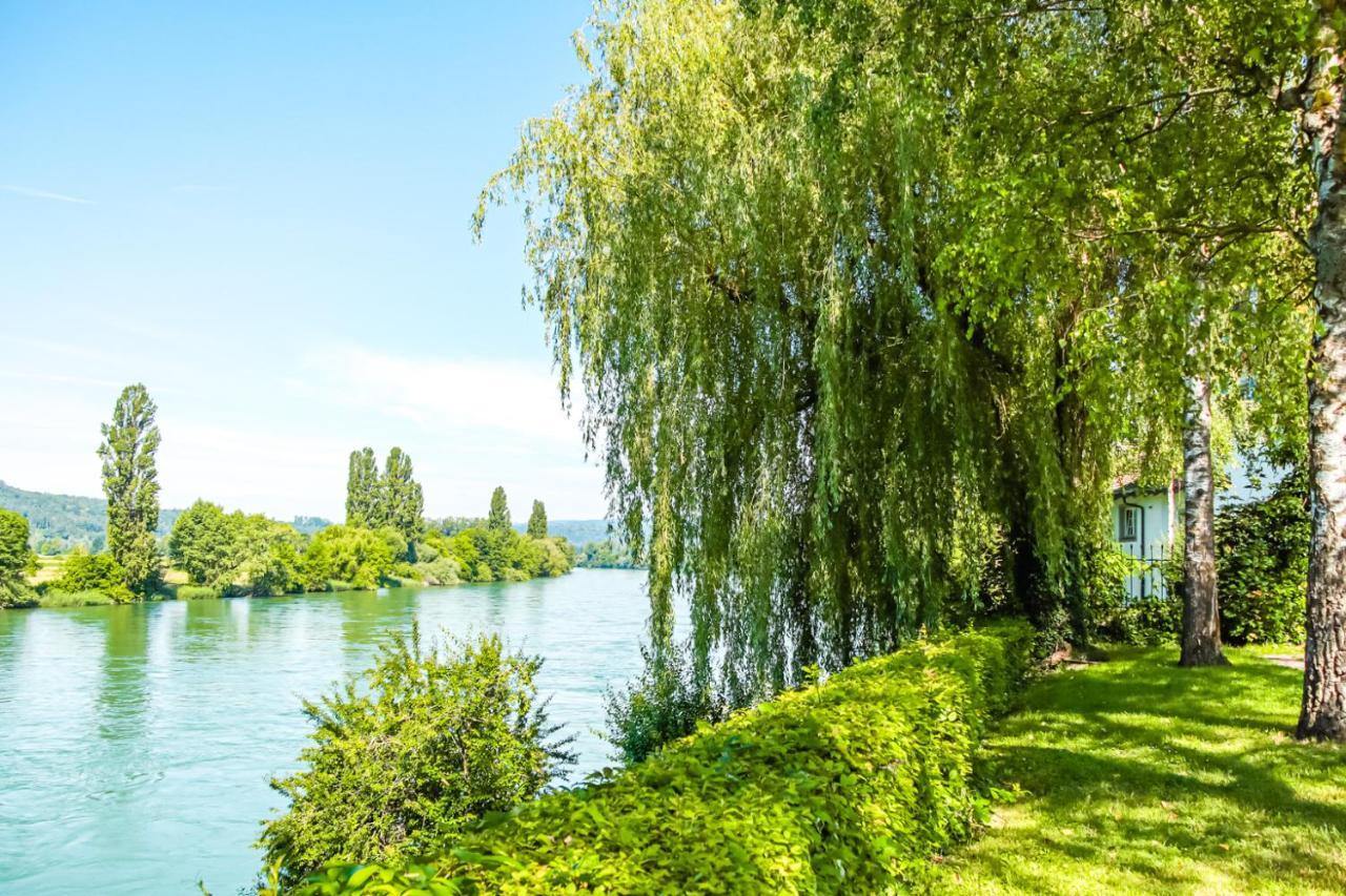 Loewe Gruen Kuessaberg Am Rhein *