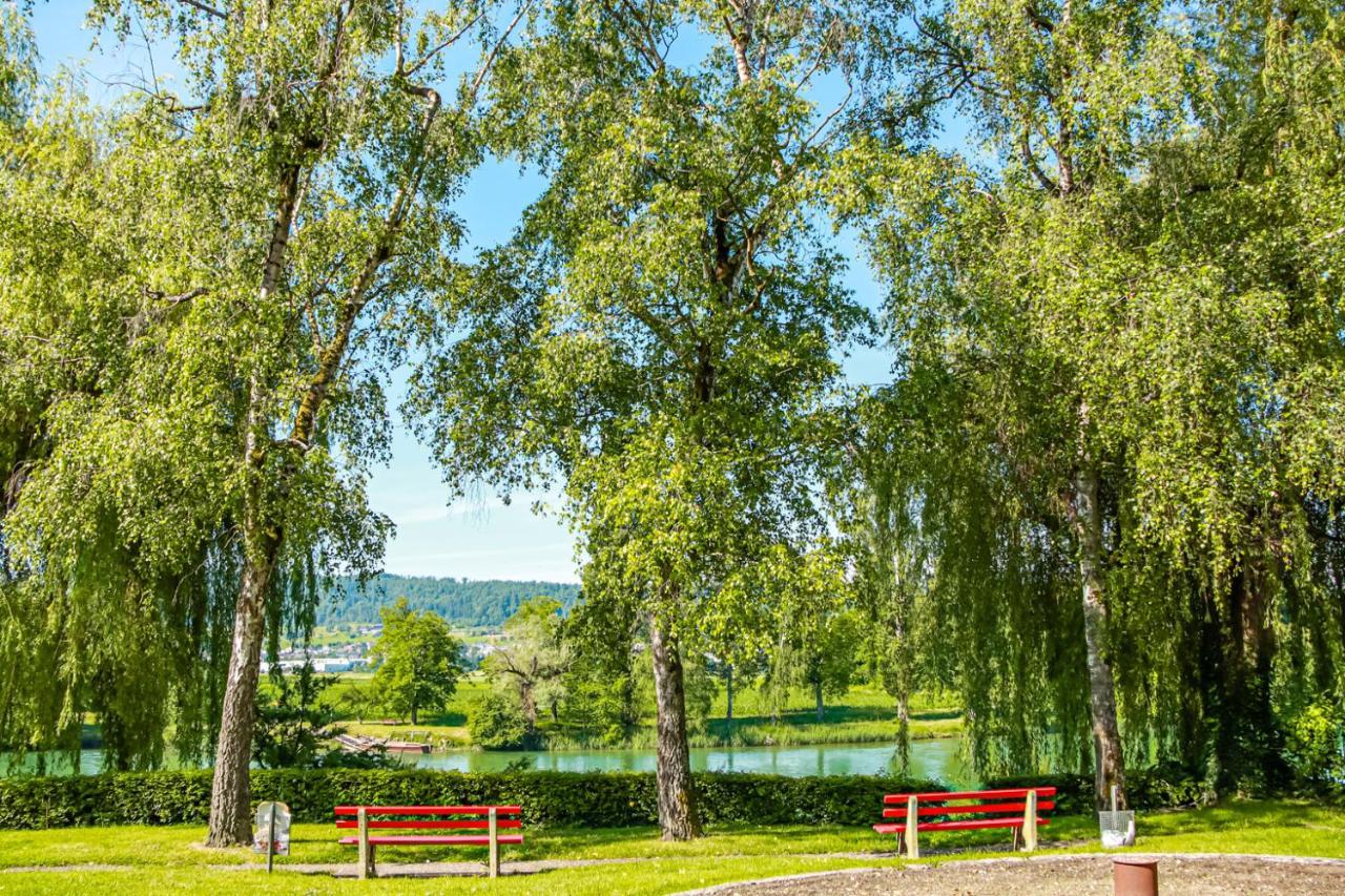 Apartament Loewe Gruen Kuessaberg Am Rhein